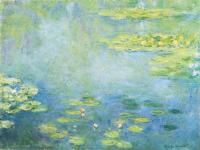 Claude Monet - Lilie wodne - 80x60