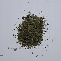 Melisa cytrynowa 100 g Rafex