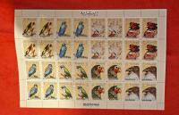 PTAKI ARK. MAMAMA KASOWANY