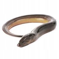 Угорь потрошеный сырой замороженный без глазури высокое качество 2 кг