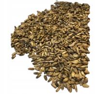 Расторопша пятнистая 10кг