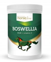 Suplement HorseLinePro BoswelliaSerrata 900g