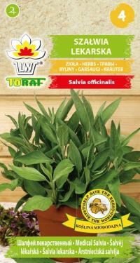 Nasiona szałwie Szałwia Lekarska 1 g Toraf