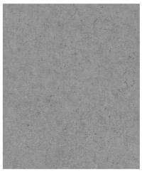 Tapeta winylowa na flizelinie imitacja betonu tynku zmywalna szary BETON