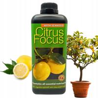 Nawóz do roślin cytrusowych CITRUS FOCUS 1L Growth Technology do cytrusów