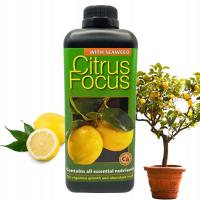 Удобрение для цитрусовых растений Citrus FOCUS 1L Growth Technology для цитрусовых