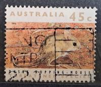 Australia luzak kas - 22/3 ssaki