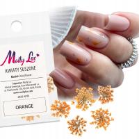 Украшение сушеные цветочные лепестки для дизайна ногтей MOLLYLAC выберите цвет