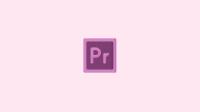 Edugrafia курс Adobe Premiere-ZIP 1 PC / бессрочная лицензия ESD