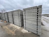 МОН дорожно-бетонные плиты 300x150x15, армированные двойной сеткой