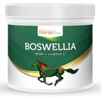 Suplement HorseLinePro Boswellia Serrata 0,5 kg