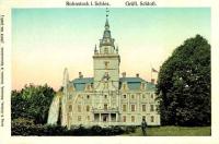 Roztoka pałac - Reprodukcja 31252