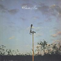 Cluster, Brain Eno | Cluster and Eno