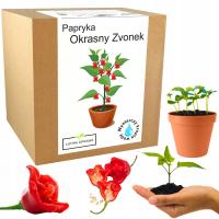 Набор для Выращивания декоративное перец Okrasny Zvonek