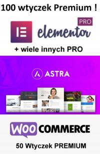 100 wtyczek PRO Elementor PRO Astra Premium Sites