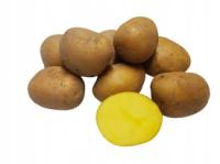 ZIEMNIAKI małe jak sadzeniaki JUREK 24 kg ziemniaki rosną bardzo duże.