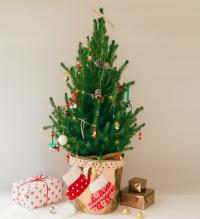 Яркая ароматная мини Рождественская елка для дома 65 см для стола настоящая маленькая ель