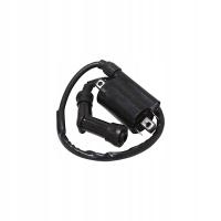 Катушка зажигания Aprilia Leonardo 125 150 Kawasaki Mule KAF