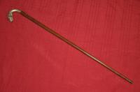 srebrna laska spacerowa-pies