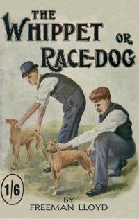 Whippet or Race Dog: Its Breeding, Rearing, and Tr