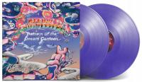 RED HOT CHILI PEPPERS - Return Of The Dream Canteen 2LP PURPLE Folia LIMIT