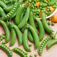 Groch Ambrosia - cukrowy, słodki i plenny, szybka i obfita uprawa - nasiona