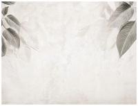 FOTOTAPETA LIŚCIE BETON SZARA NA FLIZELINIE SYPIALNIA SALON TAPETA 400x280