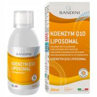 Bandini Coenzyme Q10 Liposomal Liquid 250 ml, 200 mg CoQ10 Ubichinon