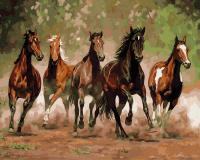 Набор для рисования по номерам на раме лошади