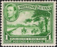 kol.bryt.British Guiana KGVI 1 c.czysty *