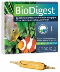 Prodibio BioDigest нитрифицирующие бактерии 1 ампула