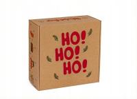 Karton Świąteczny Pudełko Prezentowe Świąteczne 300x300x110mm