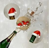 KOREK ZATYCZKA DO BUTELEK SZAMPANA ZESTAW x5