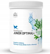 Искушение JuniorOptimal 700g