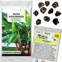 Семена банана Musa Sikkimensis быстрорастущие свежие семена 10 семян