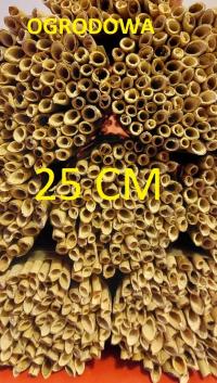 trzcina rurki trzcinowe 25CM pszczola murarka ogrodowa