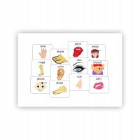 Части тела пиктограммы для общения для детей