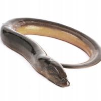 Угорь свежий сырой потрошеный Вакуум 1 кг