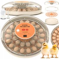 INKUBATOR DO JAJEK AUTOMATYCZNY KLUJNIK WYLĘGARKA WYLĘGARNIA DO 30 JAJ INKU