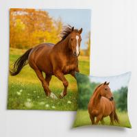 KOC Jazda Konna kocyk koń konie konik + PODUSZKA welwetowa flanelowy miękki