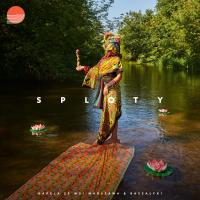 CD Kapela ze Wsi Warszawa [Warsaw Village Band], Bassałyki - Sploty [Twines