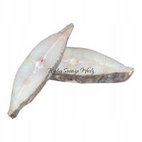 HALIBUT ŚWIEŻY ŚWIEŻA RYBA DZWONKO STEK DZWONEK 0,5KG