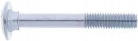 Śruba zamkowa DIN603 M10x75 mm ocynk kl. 8.8 Kramp