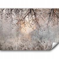 FOTOTAPETA SAMOPRZYLEPNA DRZEWO GAŁĄZKI BOHO BETON NA ŚCIANIE SALON 441x315