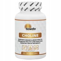Холин 500 мг 120 вкладка-память, мозг – нервная система-холин-Sowelo