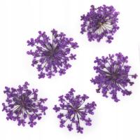 Молли лак сушеные цветы украшения ногтей 5 шт-фиолетовый фиолетовый