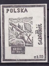 1984 Polscy żołnierze w innych armiach w czasie II wś 18