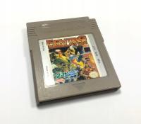 Fighting Simulator Nintendo Game Boy