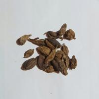 Kardamon Czarny 100 G Rafex