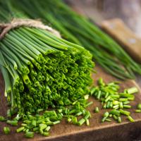 Зеленый лук Bohemia семена WegAna 2g